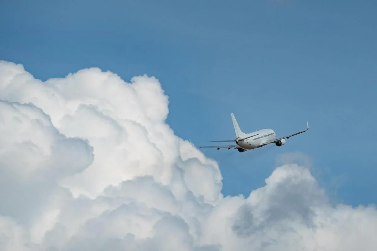 Що відомо про інцидент з рейсом Air India AI2379 4 серпня 2026 року